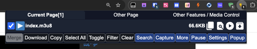 猫抓 Cat Catch 界面 2