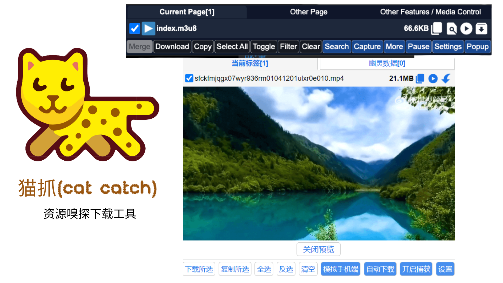 猫抓 Cat Catch 浏览器扩展界面